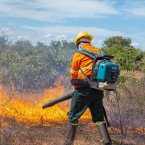 hauahuahauhauhauahhauhauahuahuahauhuSOS Pantanal treinou brigadas para evitar incêndios durante período da seca de 2021 