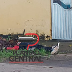 hauahuahauhauhauahhauhauahuahuahauhuBravura! Policial Militar presencia maníaco tentendo estuprar adolescente e maníaco acaba morto ao tentar contra a vida o Policial