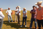 Governo de São Paulo adota o Manejo de Pastagem Ecológica no Projeto de Desenvolvimento Rural Sustentável - Microbacias II