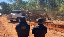Operação conjunta combate o desmatamento ilegal na região norte do estado