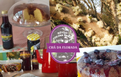 Chá da Florada celebrará a boa safra neste domingo próximo da Cachoeira do Prata em Juscimeira