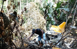 Avião agrícola cai em área de mata em MT, piloto não é encontrado e FAB investiga acidente