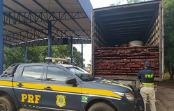 PRF no Mato Grosso apreende em único dia mais de 100m³ de madeira ilegal