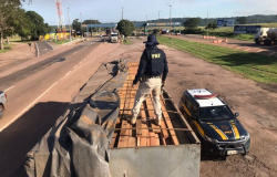 PRF apreende carga ilegal de madeira que saiu de Alta Floresta e seria levada a São Paulo