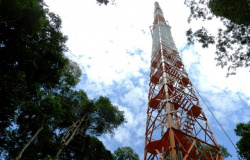 Instituto inicia construção de torre para monitorar Amazônia
