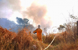 Alta Floresta: Incêndios criminosos poluem o clima do município e afetam a saúde da população.