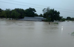 Guarantã do Norte registra vários pontos alagados após forte chuva