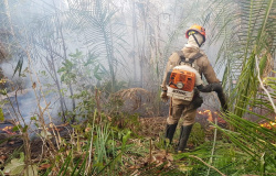 Colniza é o 8º município no país com maior número de queimadas, diz Inpe