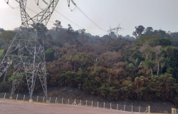 Corpo de Bombeiros faz avaliação de incêndio florestal na área da usina hidrelétrica São Manoel