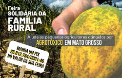 Paranaíta: ICV cria campanha para ajudar produtores que tiveram propriedades atingidas por agrotóxicos