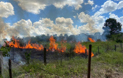 Bombeiros combatem incêndio em região de chácaras em Alta Floresta