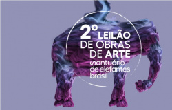 Santuário de Elefantes Brasil realiza 2º leilão com 26 obras de 22 artistas
