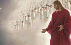 Os discípulos são o sal da terra e a luz do mundo Mt 5,13-16