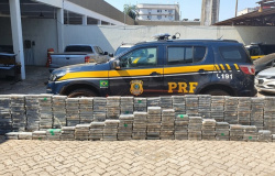 Carga de R$ 70 milhões em cocaína é apreendida em rodovia de MT