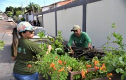 Cuiabá realiza projeto piloto do Plano Diretor Municipal de Arborização no Dom Aquino