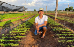 Em Apodi-RN, jovem produtor aposta no cultivo de hortaliças