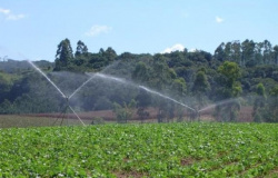 Irrigantes e aquicultores precisam atualizar cadastro na Copel