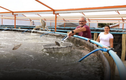 Produtor aposta em cultivo de peixes indoor no Paraná