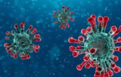 OMS determina que pandemia de Covid-19 continua a ser emergência de saúde pública internacional