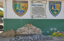 Seis pessoas são presas com 279 kg de cocaína avaliada em R$ 4,4 milhões