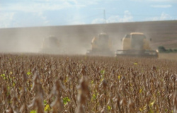 DATAGRO eleva safra 2020/21 de soja do Brasil para recorde de 135,87 mi t; consultoria aumenta projeção para o milho
