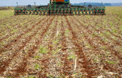 CNA fala de sustentabilidade na abertura do plantio da soja safra 2021/2022