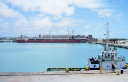 Terminais nos portos de Maceió e Areia Branca (RN) são leiloados