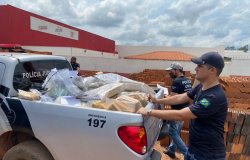 Polícia Civil destrói cerca de 700 quilos de entorpecentes apreendidos em Pontes e Lacerda