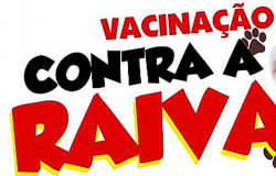 Várzea Grande realiza neste sábado (6), vacinação antirrábica para cães e gatos