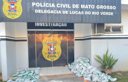 Dupla é detida pela Polícia Civil com mais de 300 pacotes de defensivo proibido no Brasil