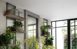 As 10 plantas de casa que todos os amantes de design de interiores devem conhecer