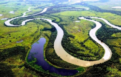 Mendes sanciona ‘Lei do Pantanal’ com permissão para o ecoturtismo, pecuária extensiva e o turismo rural