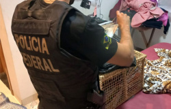 Polícia Federal faz operação em Mato Grosso e prende líder de quadrilha que fraudava benefícios do INSS