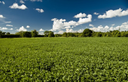 OCB-MT e Aprosoja-MT comemoram Decreto que soluciona a cobrança de ICMS dos fertilizantes no Estado