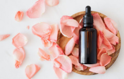 8 benefícios do óleo de rosa mosqueta para sua pele