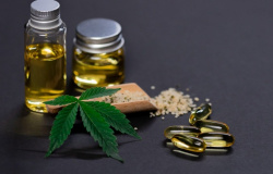Anvisa aprova novo medicamento à base de cannabis