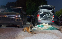Gefron apreende 67 kg de cocaína e recupera veículos roubados em região de fronteira