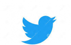 Contra desinformação, Twitter amplia sistema de denúncias