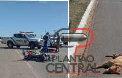 Motociclista é socorrida ao Hospital Municipal após atropelar cachorro que atravessou a BR 364