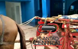 Veja vídeo! Idosa com corana vírus chega de carroça no Hospital Municipal de Ji-Paraná
