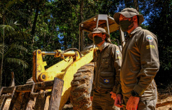 Queda no desmatamento: autuações por crimes ambientais em MT geram R$ 4,1 bilhões em multas