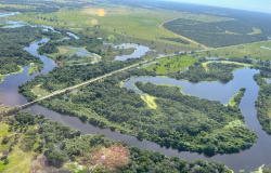 Governo de MT e Ministério Público planejam medidas de prevenção aos incêndios no Pantanal