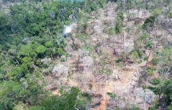 PF deflagra operação contra desmatamento em terra indígena em Peixoto de Azevedo