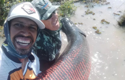 PARANAÍTA: Empresário fisga pirarucu gigante de 150 kg em área represada por usina no Rio Teles Pires