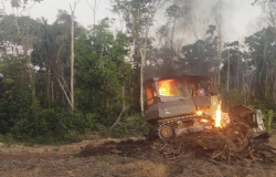Operação contra desmatamento flagra atividade agrícola em área embargada em Marcelândia