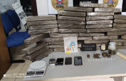 Polícia Civil apreende 43 quilos de maconha que seriam comercializados em Nova Mutum
