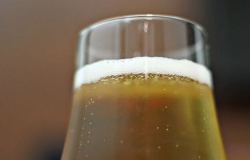 Tomar uma cerveja por dia faz bem para saúde do intestino, diz estudo