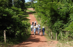 Representantes do Programa REM visitam propriedades em Alta Floresta e Paranaíta