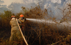 Período proibitivo do fogo começa em 1º de julho em Mato Grosso
