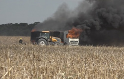 Carreta é atingida por fogo em plantação de milho em Sinop